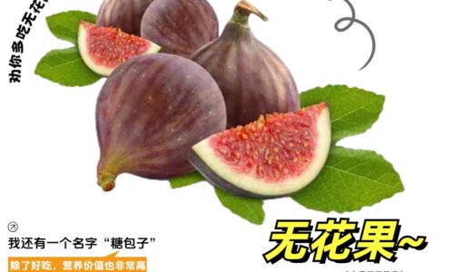 梅花香氛-梅花香蕉的区别网- 梅花香氛知识,分享梅花香的配方